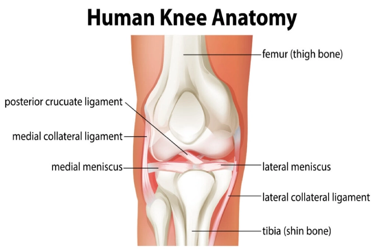 knee surgery image